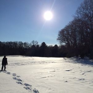 Meet your Posher, Rachel tali